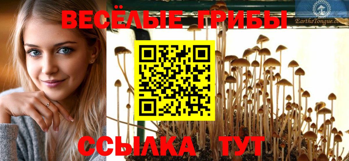 Галлюциногенные грибы Psilocybine cubensis Фурманов