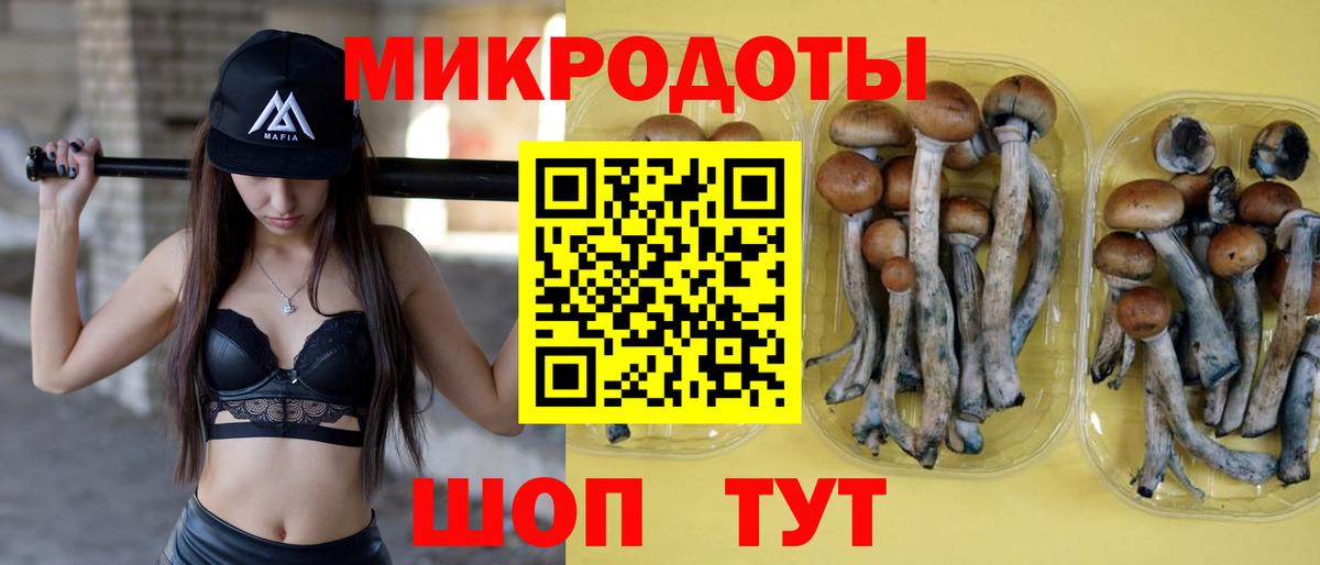 Псилоцибиновые грибы мицелий  Вход с VPN  Фурманов 